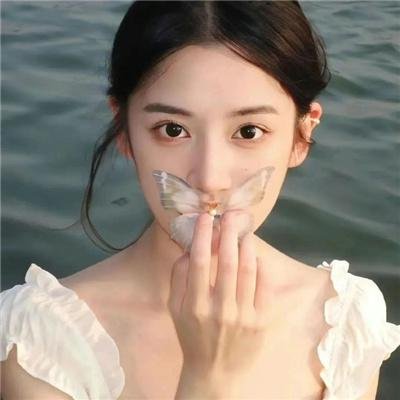 与鲨同泳